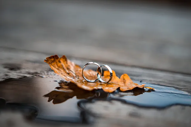 Wolfs Photography