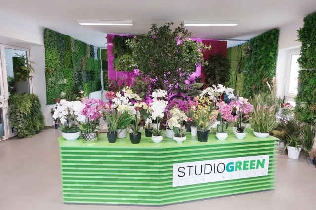 StudioGreen