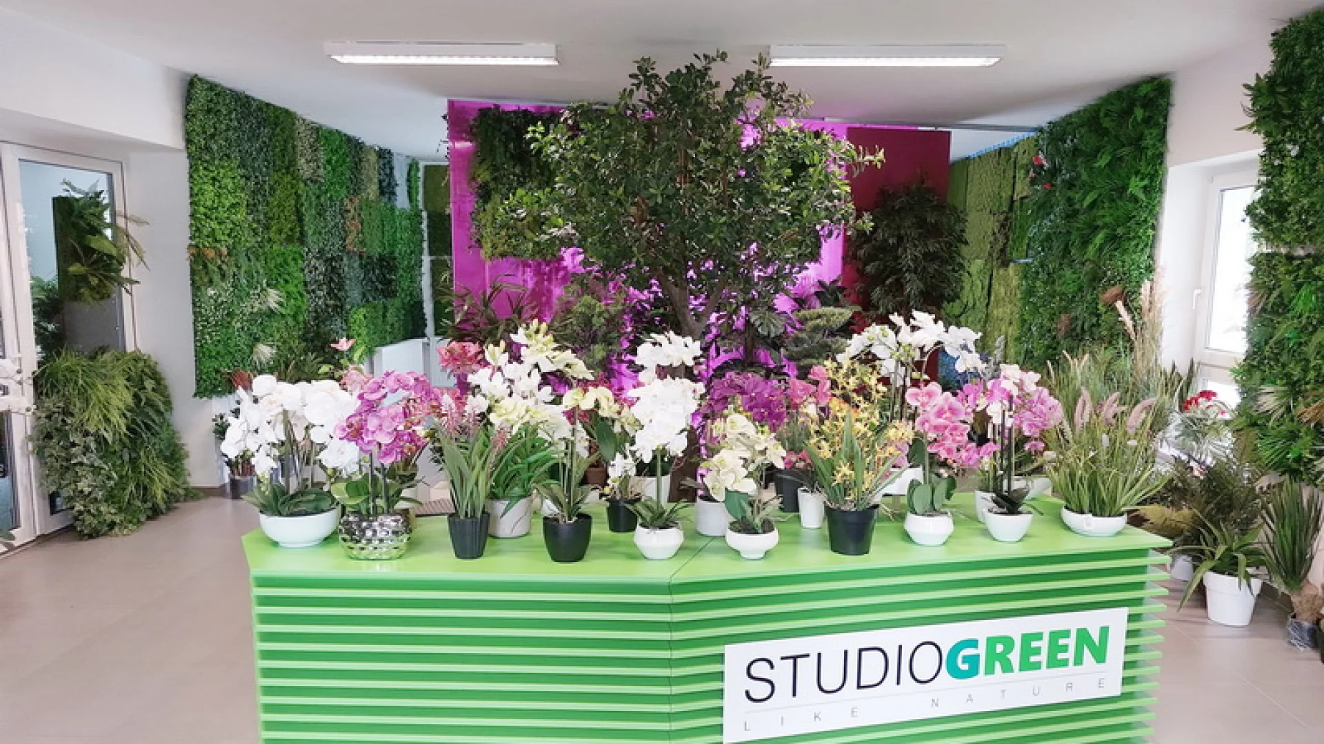StudioGreen