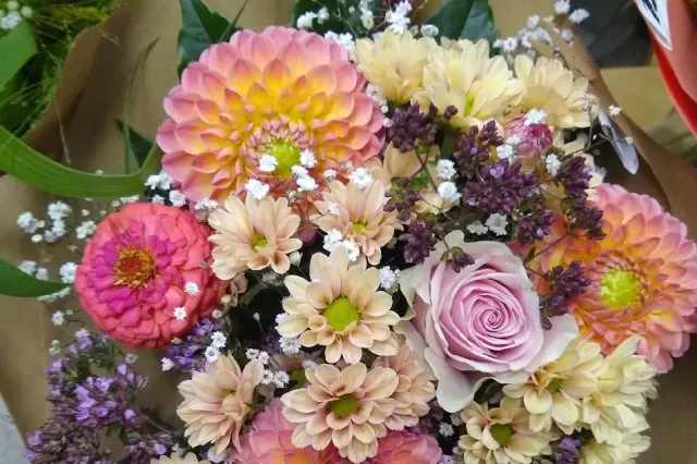 Květinová farma ProRadost