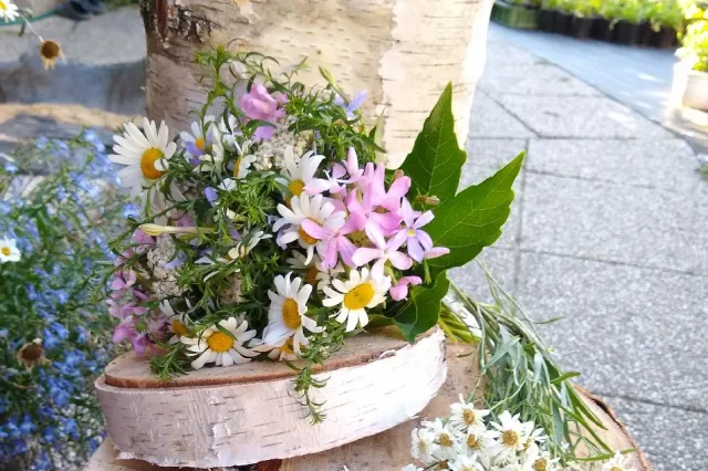 Květinová farma ProRadost