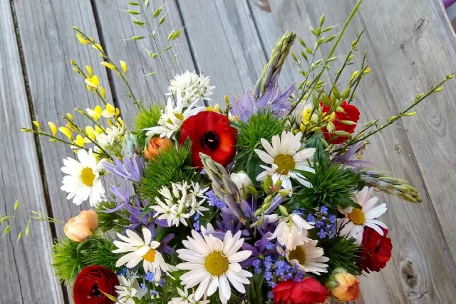 Květinová farma ProRadost