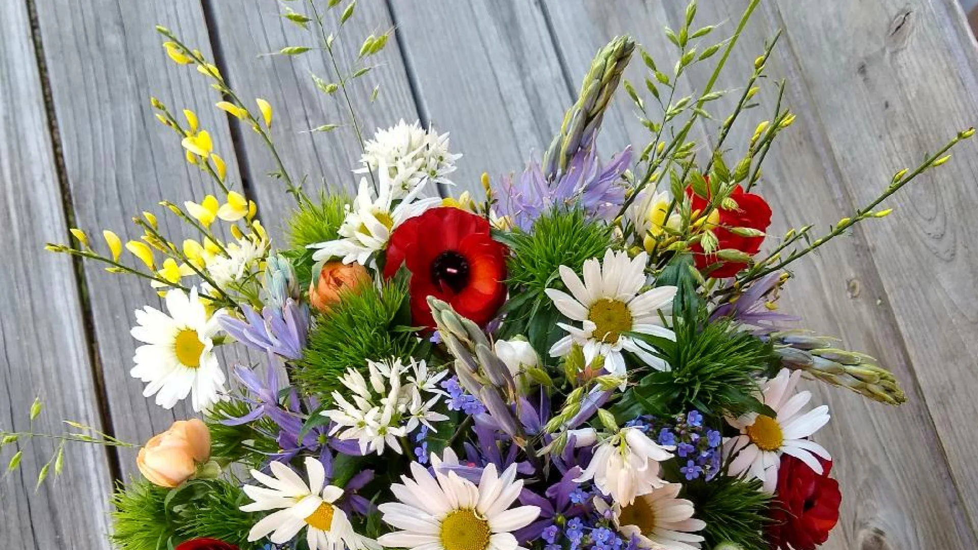 Květinová farma ProRadost