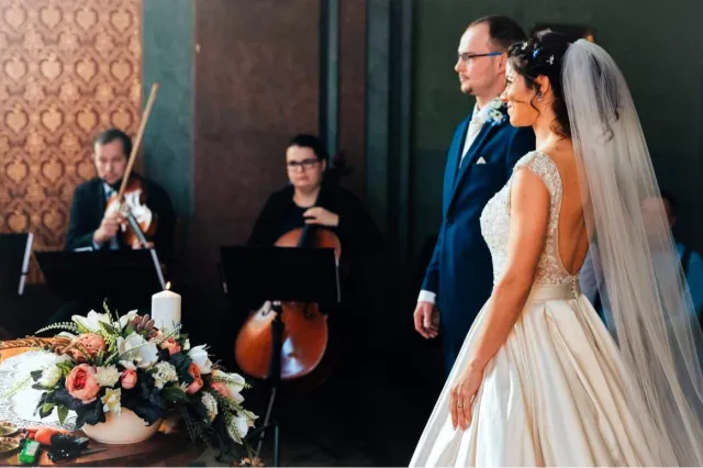 Houslistka na svatbu