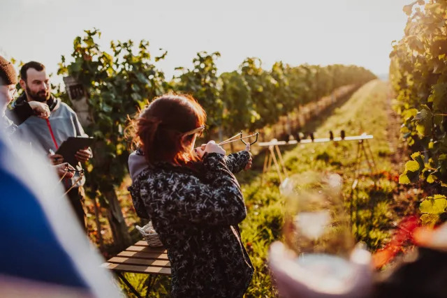 weWine