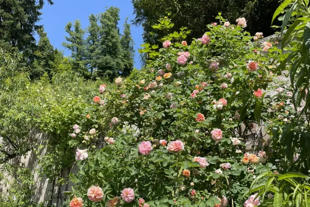 Zámek Nové Hrady u Litomyšle