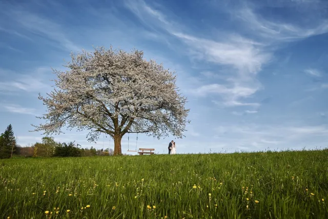 Petr Tomoszek - svatební fotograf